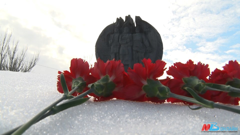 «Гвоздика на снегу»: в Волгограде почтили память ополченцев — рабочих тракторного завода